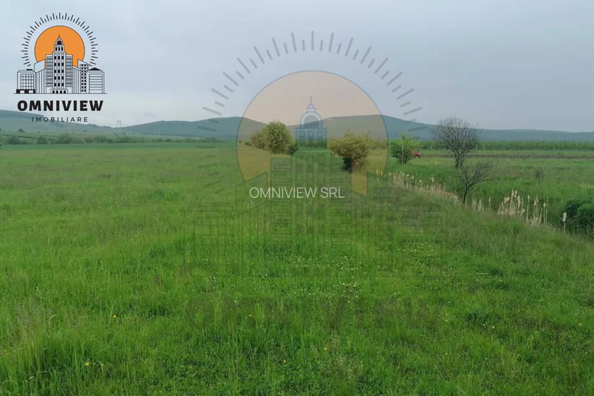 Teren intravilan Dobolii de Jos 47.700 mp | PUZ+autorizație | POT 50% - 6