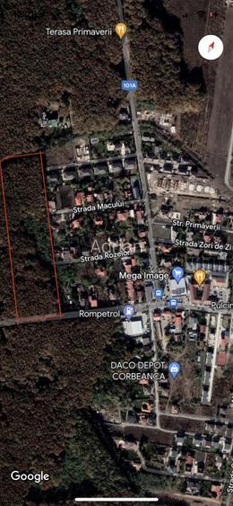 15000 mp padure! - 3