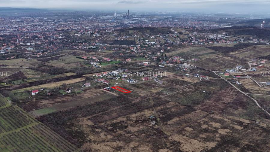 Teren Intravilan, Nicolae Beldiceanu - 5