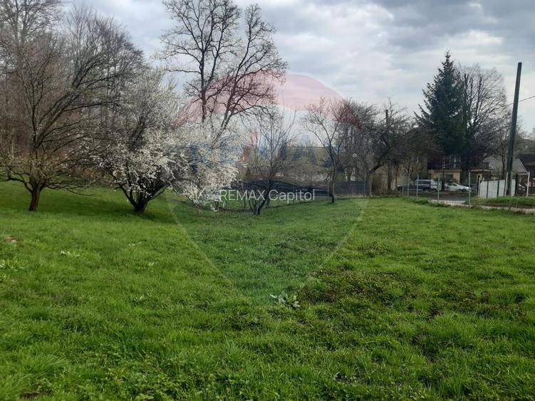 Casă / Vilă cu 7 camere   în zona Bran-Tohanita - 6