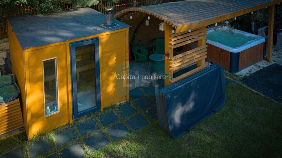 Casa de vacanta superba in Crivaia - 18