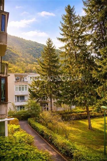 Apartament 2 camere,luminos,incadrat de liniste si verdele naturii,Ultracentral, - 6