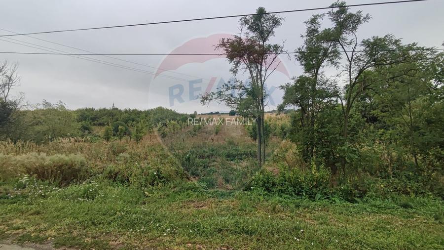 Teren 2.341 mp Uileacu de Munte front 26 ml la drum asfaltat - 12