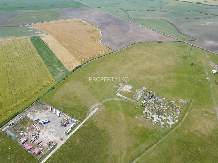 Teren intravilan de 26,606mp Sacalaz - 25