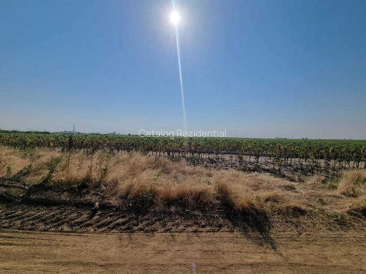 Teren de vanzare Popesti Leordeni,str Scolii - 3