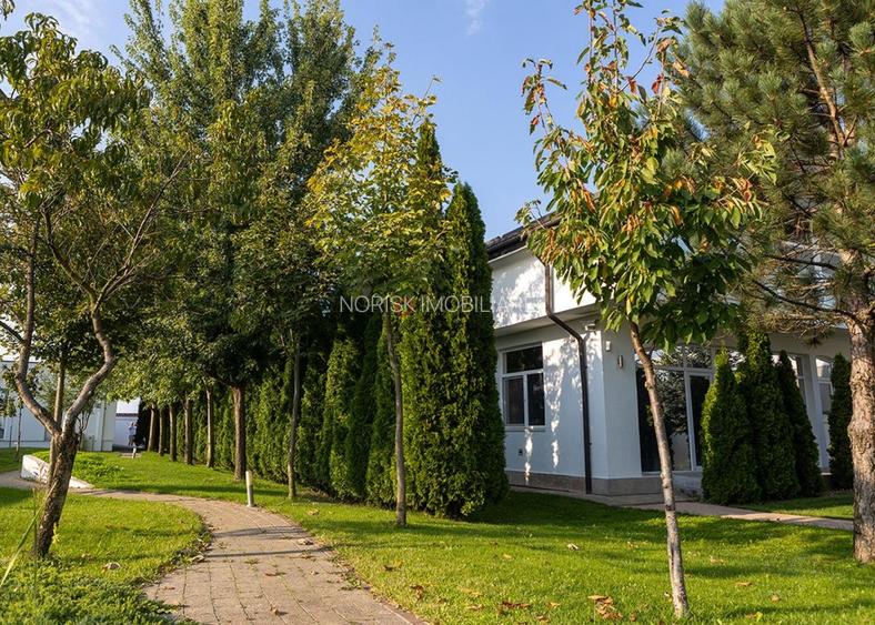 Private Estate lângă București | Vilă, Piscină & Sport Court - 41