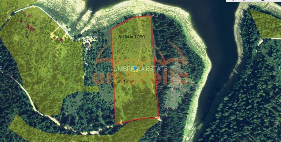 Teren de vanzare 29.131m²/35€ m² lac Belis, la Paraul Butoaie, Giurcuta - 2