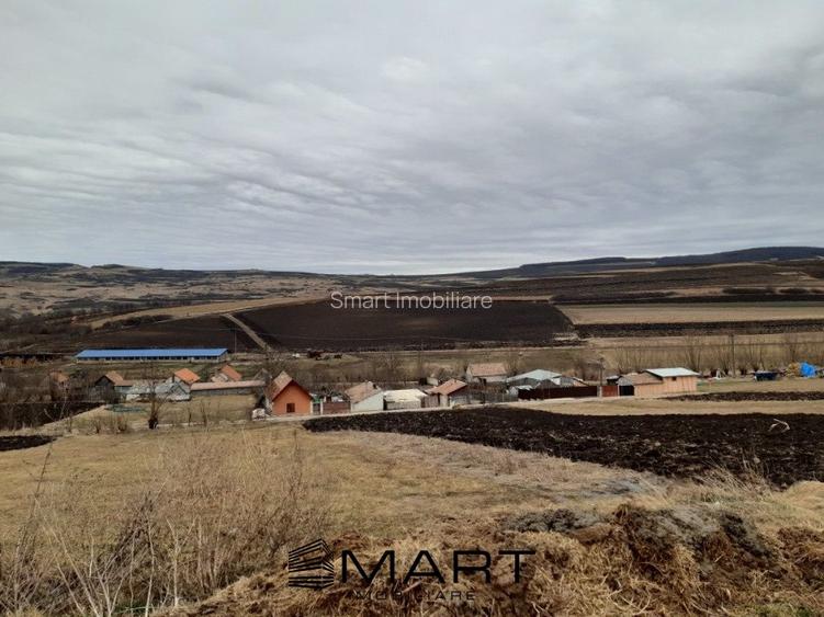 Teren extravilan 2800mp Daia Romana - Alba - 2
