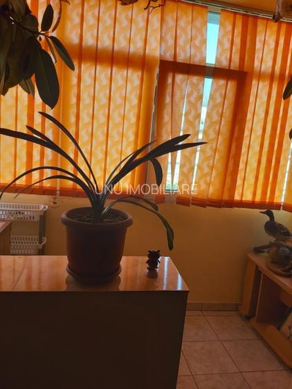 Etaj 3 - Alexandru - Olimp - Apartament 3 camere - mobilat - 12