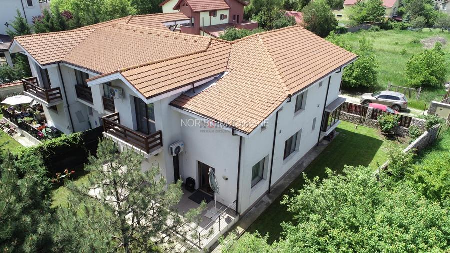 Vila Deosebita - Mogosoaia - 3