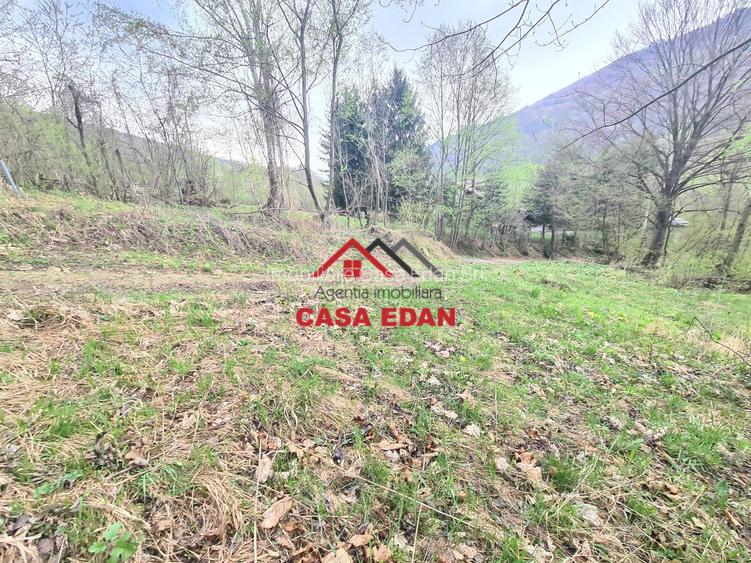 Teren intravilan in Valea Doftanei cu iesire la Parajul Paltinu--1000 mp--120e - 4