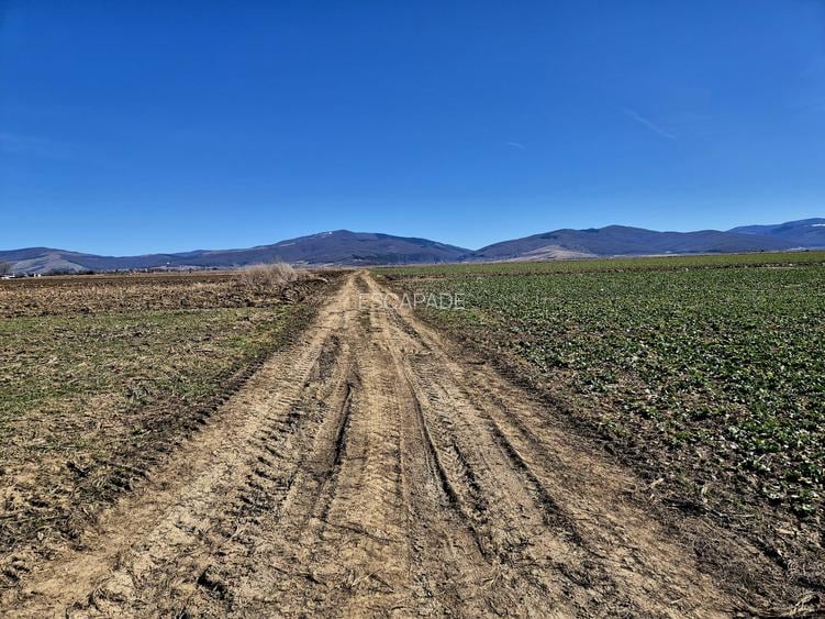 Teren extravilan de vânzare – Prejmer, Brașov | Potențial  pentru dezvoltare! - 2