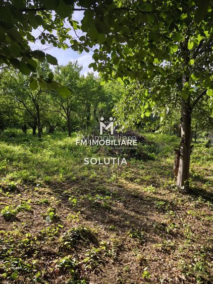 Teren intravilan 10 ari, zona Grigore Ureche, PUZ! - 4