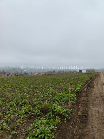 Loturi de teren acces DN26 -11e /mp - 6