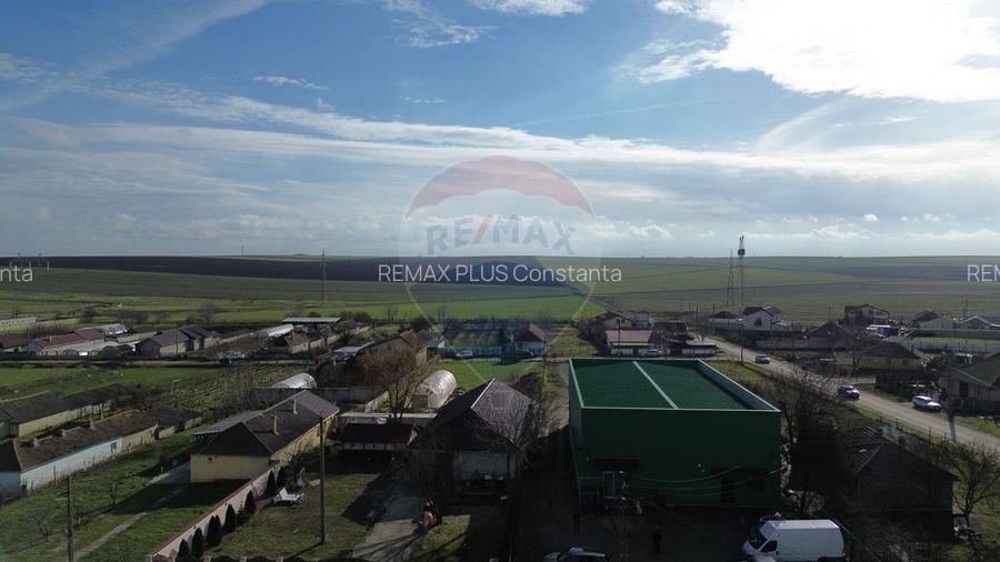 Hala industriala de vanzare in Poiana-Ovidiu - 3