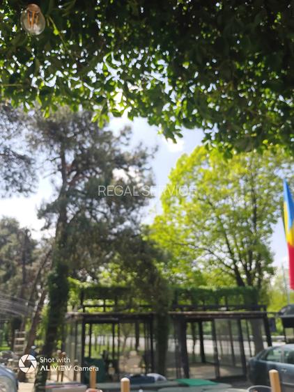 POPASUL CU PAUNI- DE 85, spre  URZICENI, inchiriere restaurant cu terasa - 9