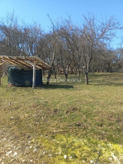 Vind teren intravilan in com .Corbi  sat Poinarei  jud.Arges, - 6