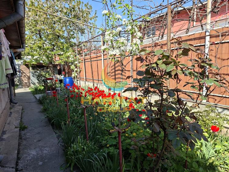 Casa 2 Camere Parter Teren 350 mp Berceni Luica - 2