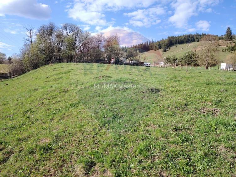 Teren 2,421mp Vatra Dornei / Strada Chilia - 12