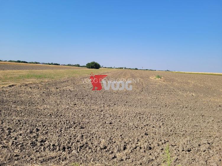 Teren industrial Sag, Centura SUD, PUZ aprobat - 2