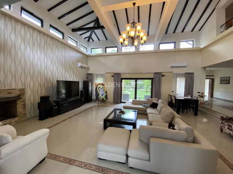 Vila superba - 7 camere - vanzare - Iancu Nicolae - Padurea Baneasa - 3