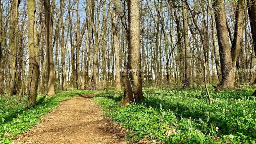 REA1028821 Apartament 2 camere mobilat si utilat in Greenfield. - 13
