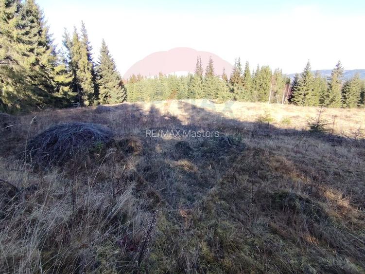 Teren 16,289mp Coverca / Drumul Bucinis - 9