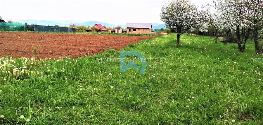 Vanzare teren intravilan, Sanpetru, Livada - 4