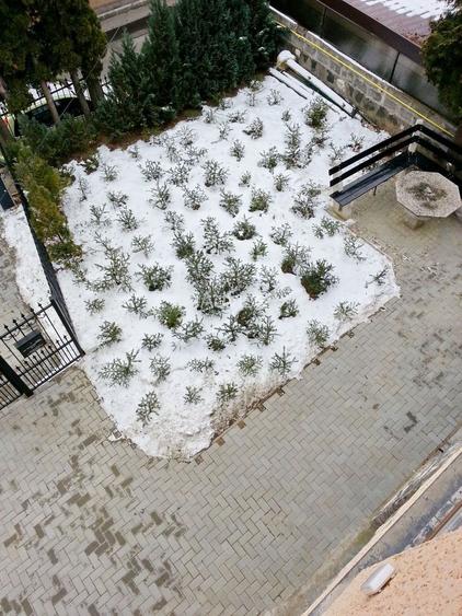 CASA DE INCHIRIAT ULTRA-CENTRAL - locatie deosebita - 17