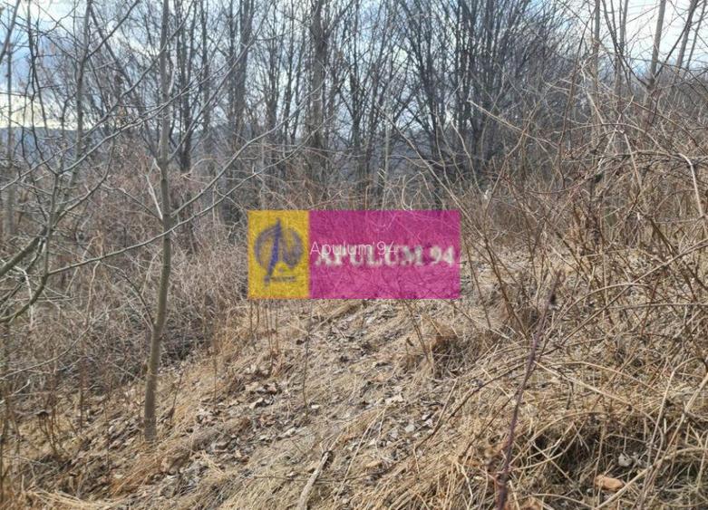 Teren de vânzare în Sinaia - Platou Izvor - 5