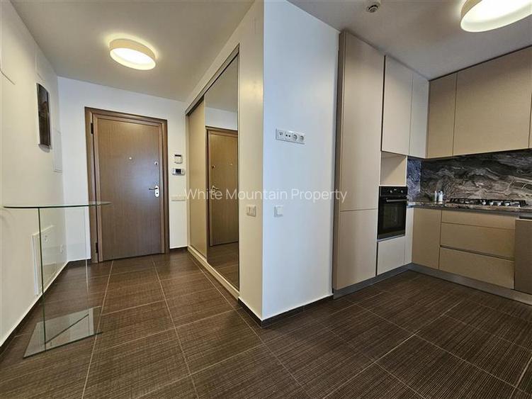 Apartament cu doua camere de inchiriat in Bellevue Residence - 28