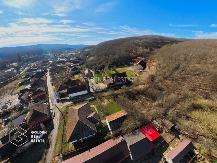 Proprietate pretabila pentru afacere, Cladova - 34