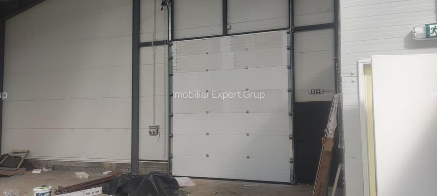 2 hale noi 2025 Afumati- Moara Domneasca - 5