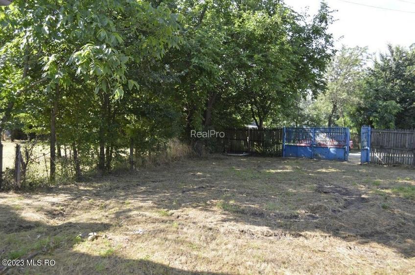 Suseni - Teren intravilan cu casa batraneasca, plan, suprafata 4700 mp! - 16