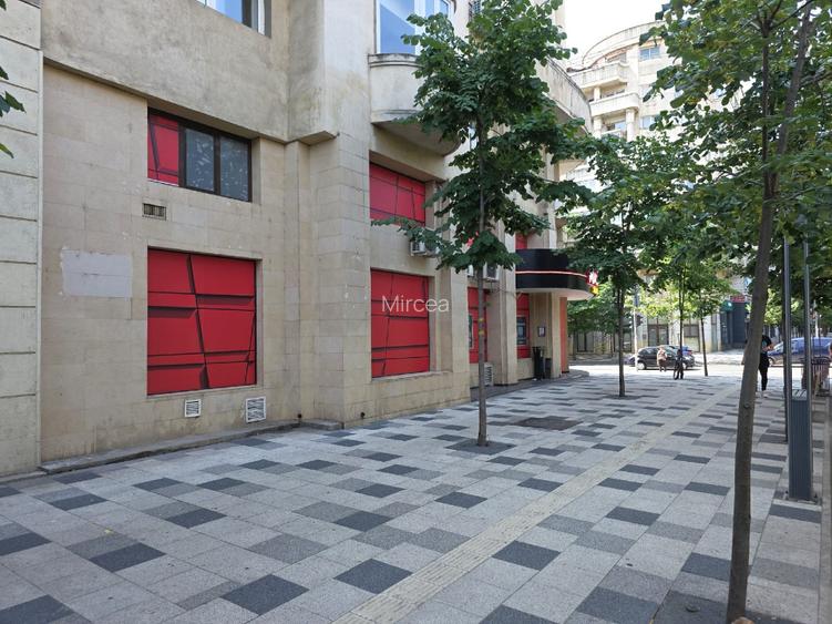 SPATIU COMERCIAL, BD. DECEBAL - PIATA ALBA IULIA - 3