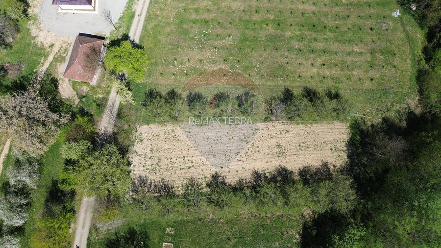 Teren de vanzare langa padure Copalnic Manastur - 6