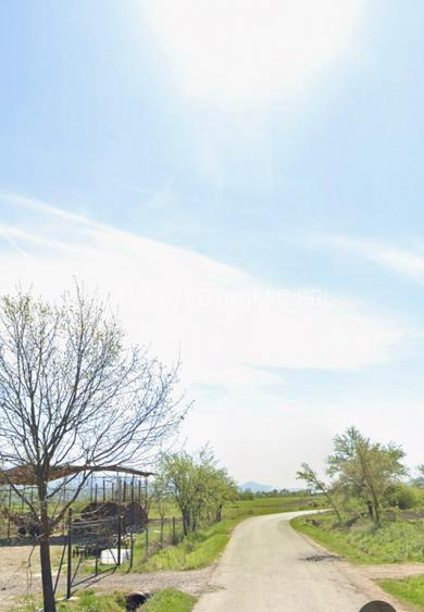 Teren 4524 mp lângă Ștei - 3