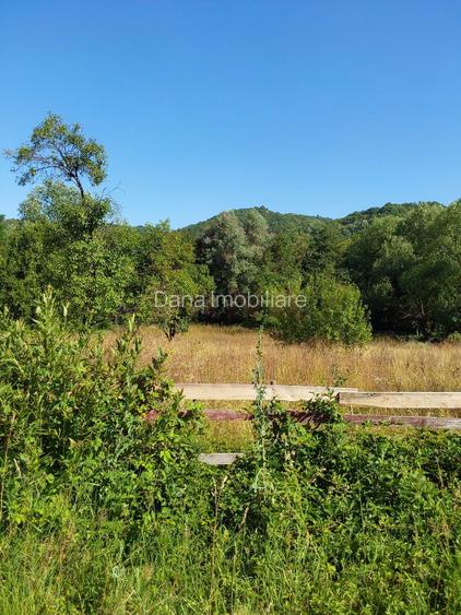 TEREN INTRAVILAN ZĂVOI\ZONA VALEA BISTREI, JUD.C-S - 5