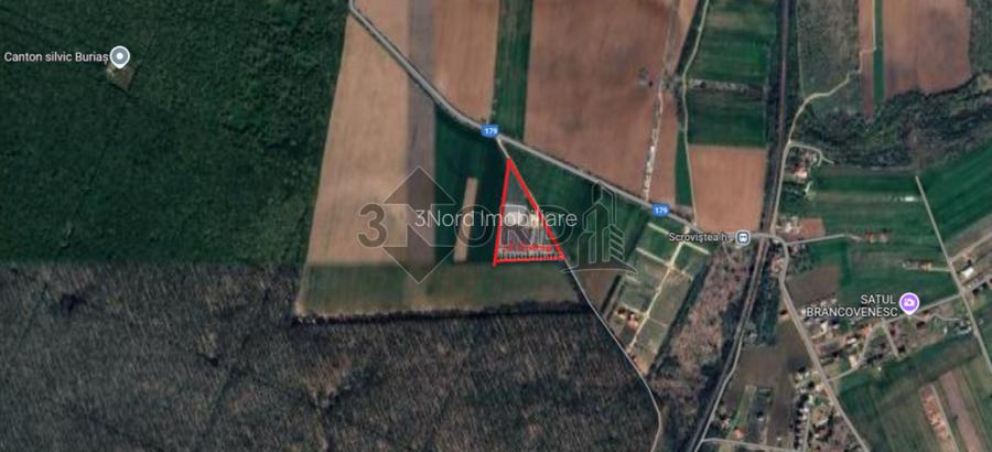 TEREN INTRAVILAN 17.714 MP – SCROVIȘTEA / BĂLTENI – LÂNGĂ PĂDURE - 2