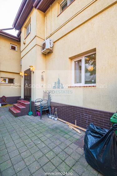 Vila de inchiriat Parcul Carol - 10