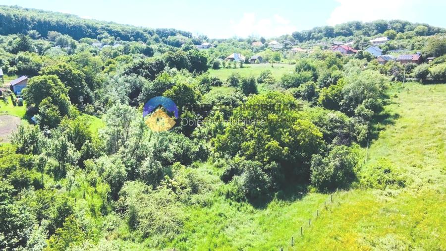 TEREN intravilan + casa  DOBRENI - SARATA - 4