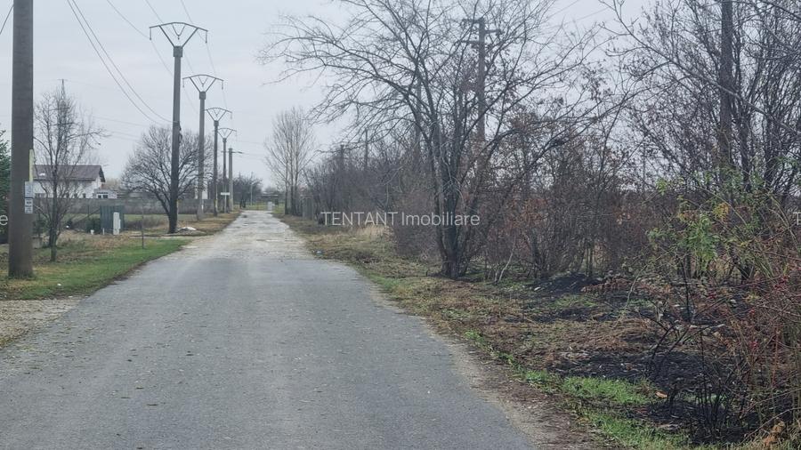 Vanzare Teren Rezidential 1 Decembrie Ilfov 500mp - 8