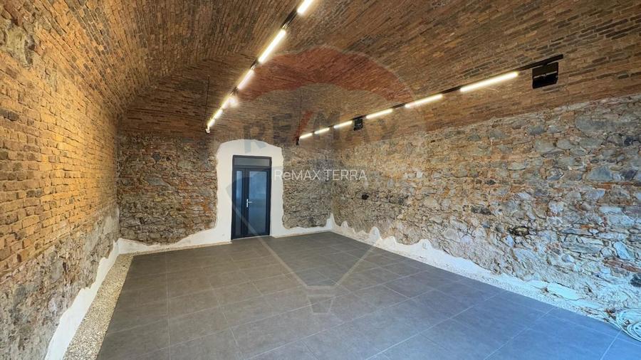 De închiriat Spațiu Comercial în Baia Sprie - 3