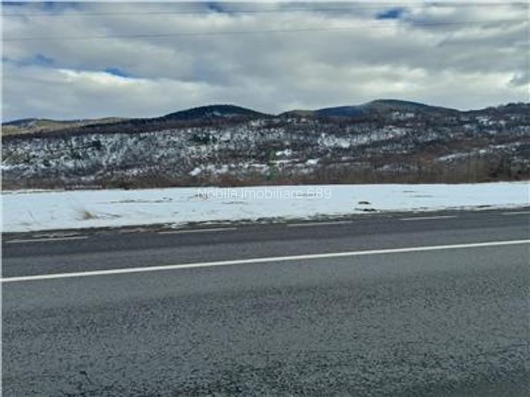 TERENINTRAVILAM DE VANZARE POIANA SARATA - 3