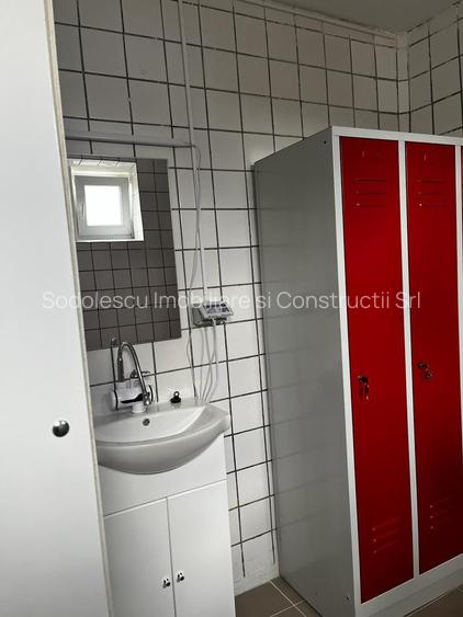 Spatiu industrial productie/ depozitare, Timiș - 37