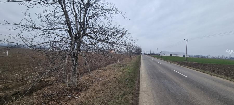 Teren la asfalt in Bucecea - 2