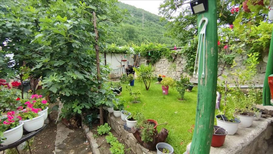 Pensiune in Sasca Montana - 2