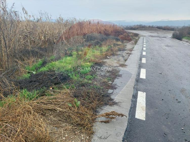 Teren intravilan de vanzare – Nicolae Balcescu, jud. Bacau - 2