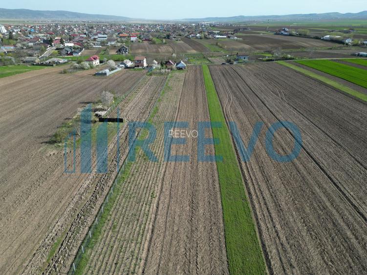 Teren de vânzare, Com. Nicolae Bălcescu, Jud. Bacău - 12