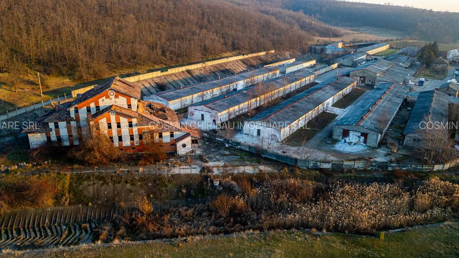 Fosta Ferma a Partidului de la Horgesti - de vanzare - 15